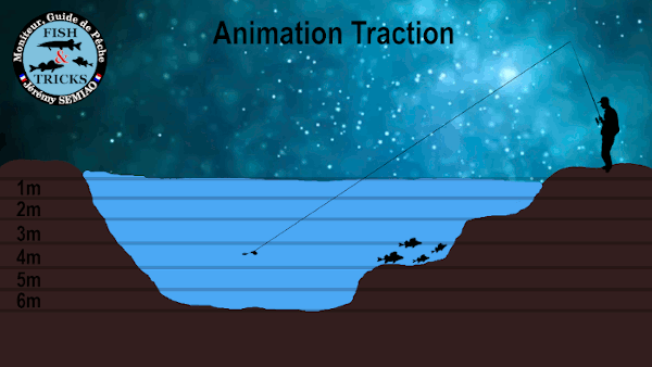 l'animation traction