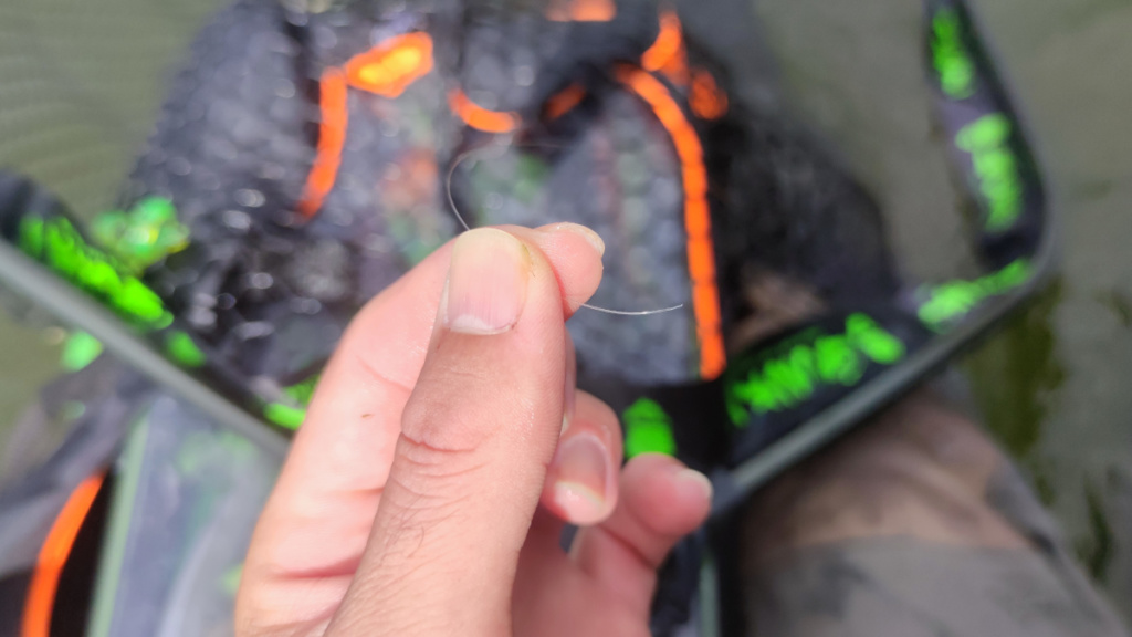 fil coupé lors d'une pêche de la perche en automne
